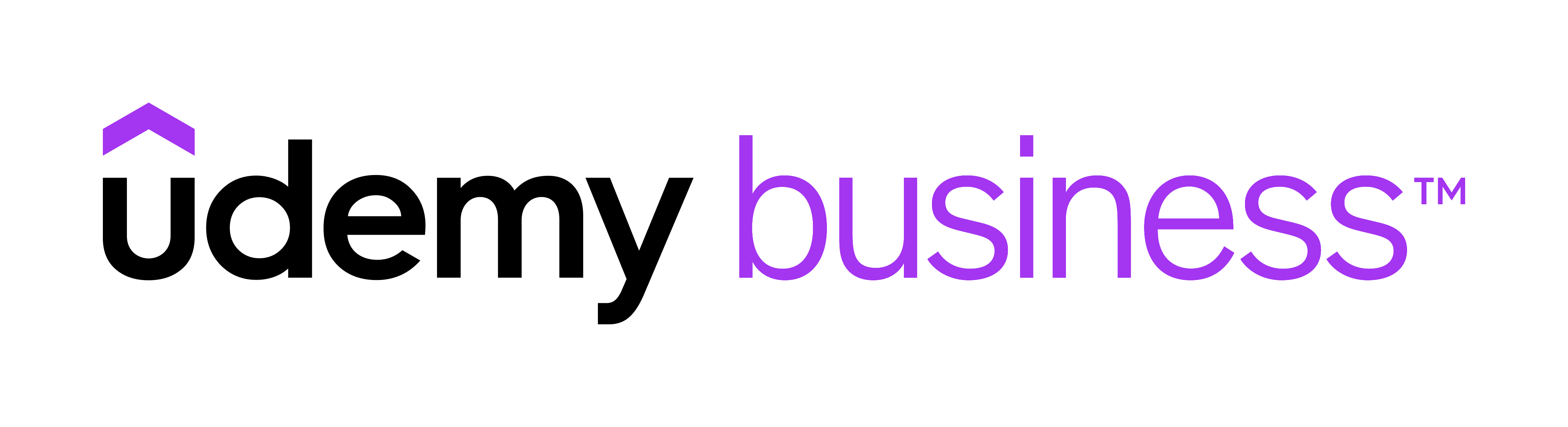 Udemy for Business