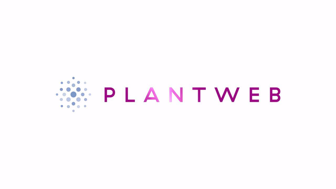 Emerson Plantweb